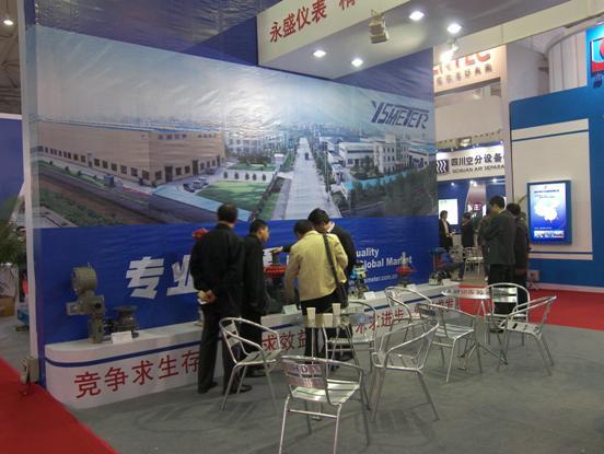 永盛仪表成功参加2010年第十二届中国国际气体技术、设备与应用展览会